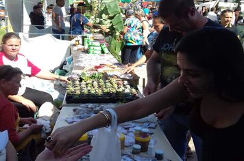 Feira de Sementes Crioulas dos Pescadores e Pescadoras artesanais e Caiçaras