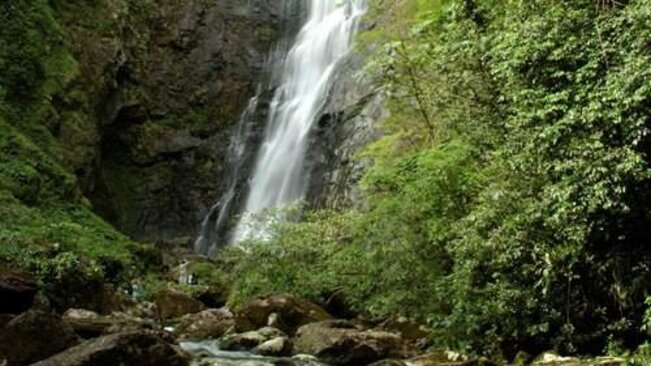 Conservação da Natureza